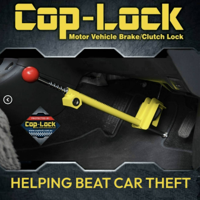 helping beat car theft